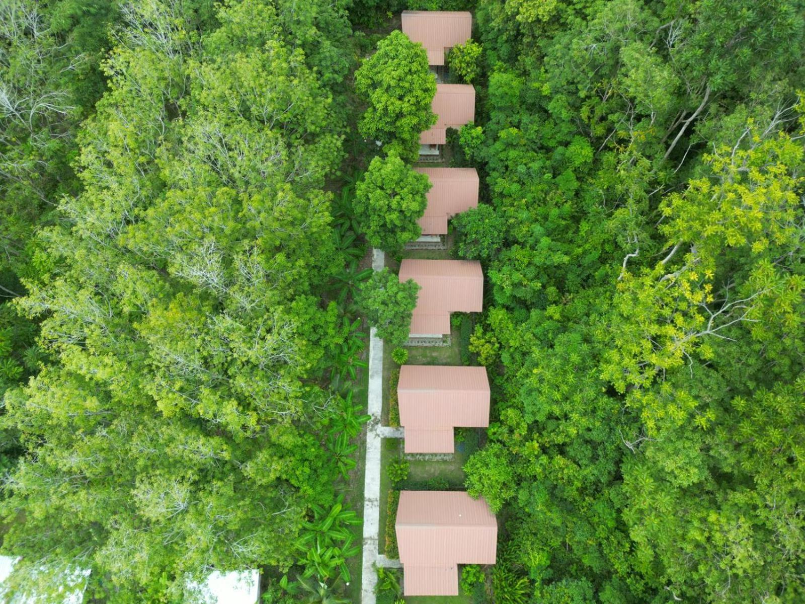 Zabit Bungalow Ko Lanta Exterior foto