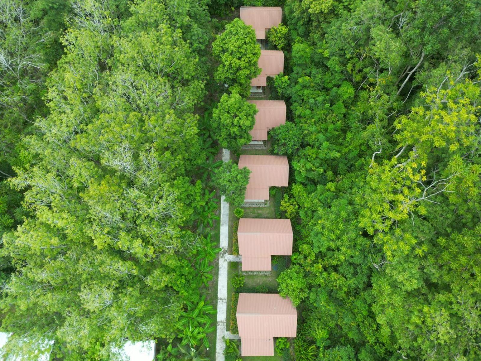 Zabit Bungalow Ko Lanta Exterior foto