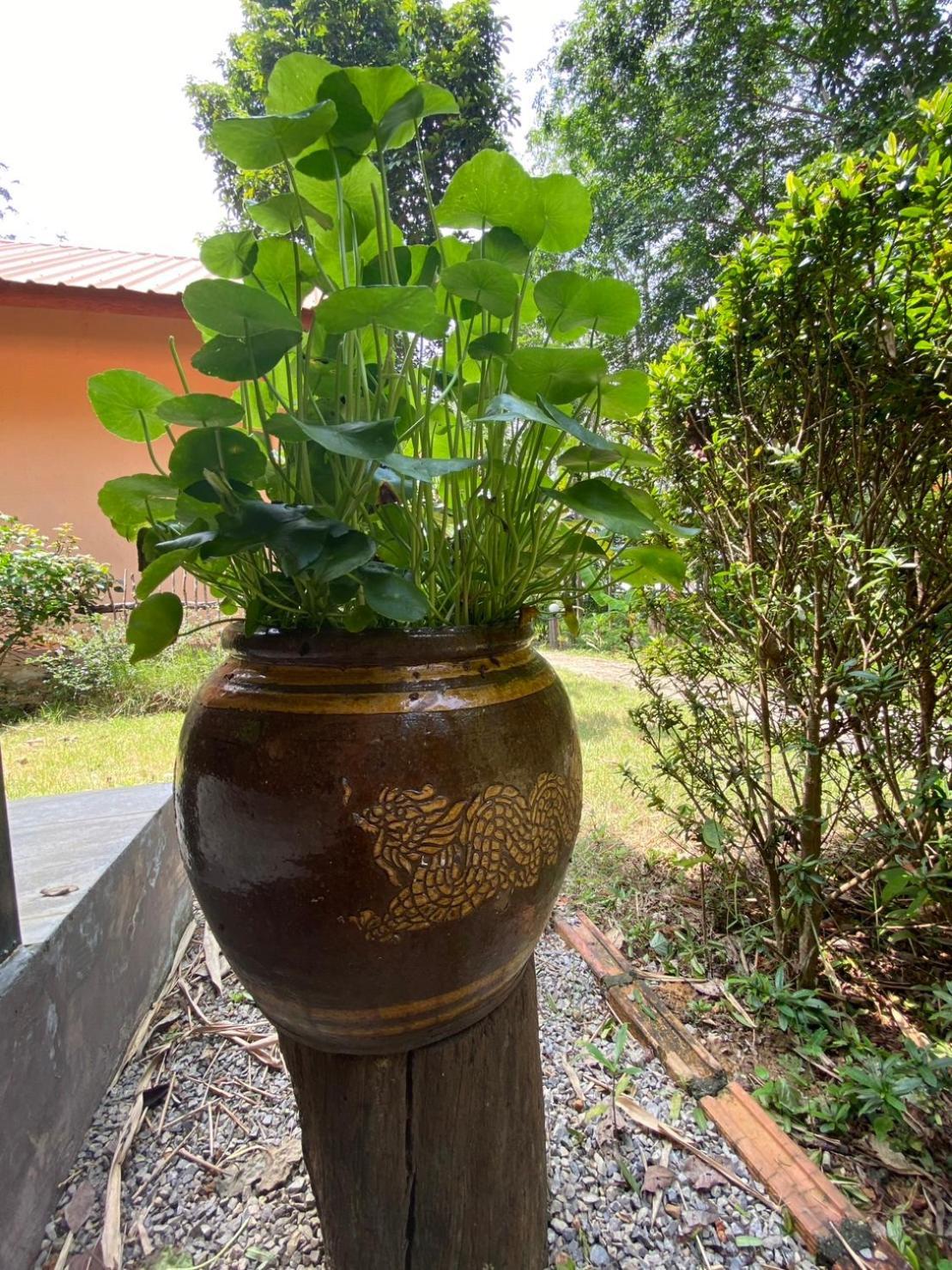 Zabit Bungalow Ko Lanta Exterior foto